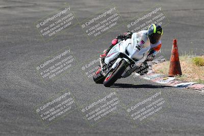 media/Jul-08-2023-2WTD (Sat) [[c8c0d2e149]]/C Group/1040am (Turn 3)/